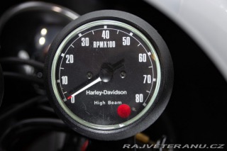 Harley-Davidson XL IRONHEAD XL 1000 SPECIAL 1979