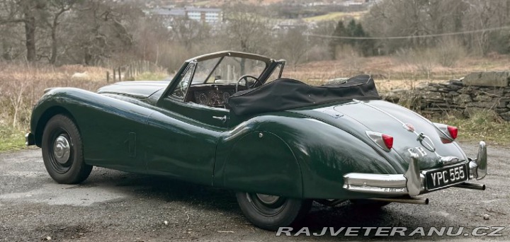 Jaguar XK 140 Drophead Coupe (4) 1955