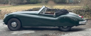Jaguar XK 140 Drophead Coupe (4) 1955