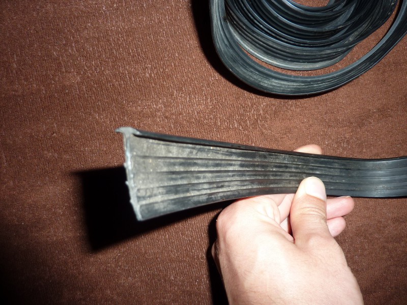 P1130441.JPG